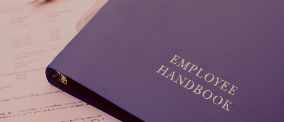 Employee Handbook & Policy background